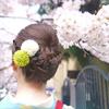 m_miyahara