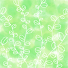 poplar