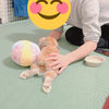 鵜澤拓