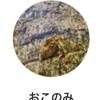 おこのみ8