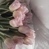 soua_design_