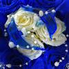NatsuLily