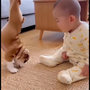 Shorts制作屋