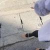 ✿りのあ‪✿