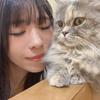 まやぴぴ