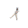 ふなきぃ