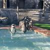 Penguin先生