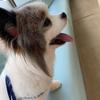 じへん
