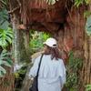 夕凪yunagi