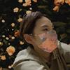 ninoue Web制作＆修正