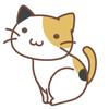 ねこママ55