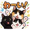 なんでも相談教室