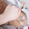 きやちゃん