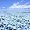 ⭐想いを詠む 星詠 心灯占い⭐　天音　海