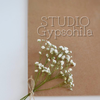 STUDIO Gypsohila