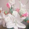 Liliy0128