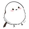あやたー