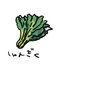 Shin022