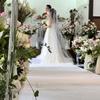 Drone Wedding Bell