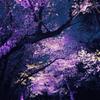 なぐさら