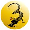 Honey Web 38