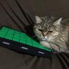 knyanta3110