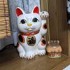 招き猫66