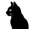 カード占い師　黒猫さきり