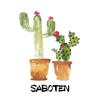 SABOTEN1127