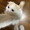 出会っちゃいましたね