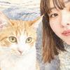 ai｜保護犬猫ボランティア
