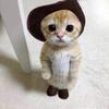 いーあい