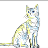 かきくねこ