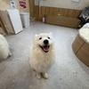 ゆな：現役看護師ママ
