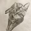 絵描きのティナ