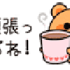 セイナ2355