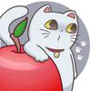 ringocat