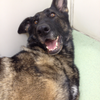 mizukiamemiya