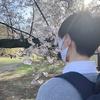WEB制作代行のぐ