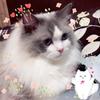 ぶりゅーえん
