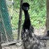 きたむのり