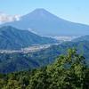 山親父