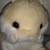 ハムごろう
