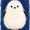 hu_design_coco