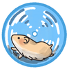 Rapop123