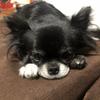 tomohiro24