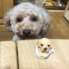 aimichi