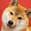 みけづき