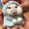 サエグサ・にゃん