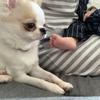 双子の なぁ